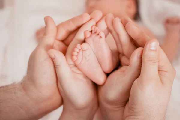 Gravidez, maternidade, preparação e expectativa maternidade, dando à luz conceito. Pés de bebê recém-nascidos nas mãos dos pais — Fotografia de Stock
