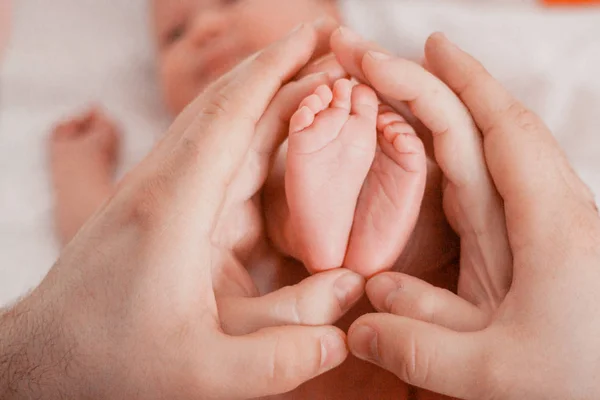 Pregnancy, maternity, preparation and expectation motherhood, giving birth concept. Newborn baby feet in hands of parents