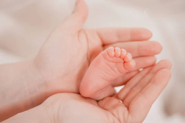 Embarazo, maternidad, preparación y expectativa maternidad, dando a luz concepto. Bebé recién nacido pies en manos de mami — Foto de Stock