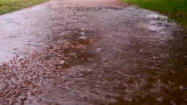 Regentropfen Mit Einem Spritzer Fallen Auf Einer Sandigen Straße Eine — Stockvideo
