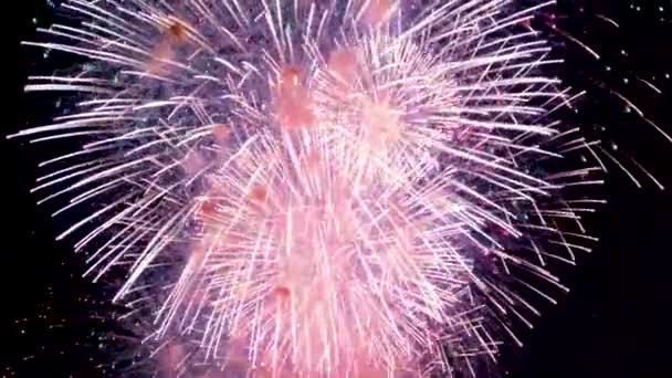 Feux Artifice Couleur Explosant Gros Plan Des Feux Artifice Éblouissants — Video