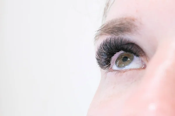 Eyelash Extension Procedure. Woman Eye with Long false Eyelashes. Copyspace. Close up macro shot of fashion eyes visagein in beauty salon.