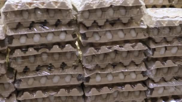 Rak 4k rak telur mentah di toko atau supermarket besar, penuh dengan telur dalam paket kardus — Stok Video