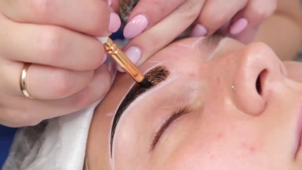 Μόνιμη make-up για τα φρύδια της γυναίκας με παχιά φρύδια στο σαλόνι ομορφιάς. Closeup αισθητικός κάνει τατουάζ χρωματίζοντας φρύδι — Αρχείο Βίντεο