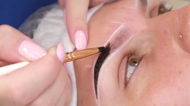 Permanent make-up för ögonbryn på kvinna med tjocka bryn i skönhetssalong. Närbild kosmetolog gör färgläggning tatuering ögonbryn — Stockvideo