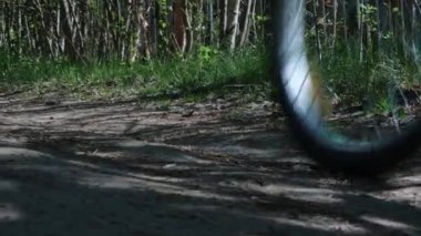 4 bin. Bisikletli kız ormanda kırsal kesimdeki yolda. Çocuk yaz günü dışarıda bisiklet sürüyor.