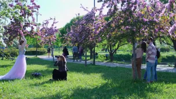 4k. Fotografer i aksjon i vårparken. Fotosesjon med kirsebær og epleblomst. Folk som tar bilder under epletreblomster i naturen. St.Petersburg Russland 04jun2020. – stockvideo