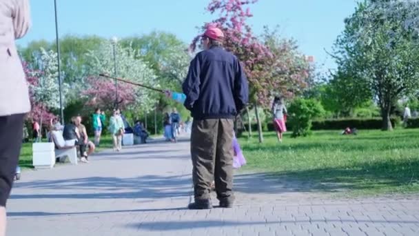 4 bin. Yaşlı yaşlı bir çift birlikte şehir parkında yürüyor. Hafta sonu. Kiraz ve elma baharı veya yaz çiçeği. St. Petersburg Rusya 04jun2020. — Stok video