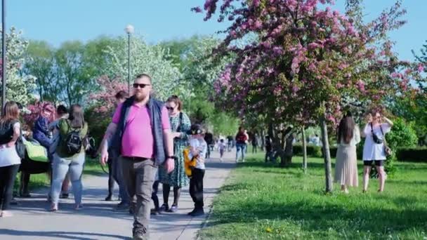 4 bin. Şehir parkında birlikte yürüyen insanlar. Bir grup arkadaş ve aile. Hafta sonu. Kiraz ve elma baharı veya yaz çiçeği. St. Petersburg Rusya 04jun2020. — Stok video