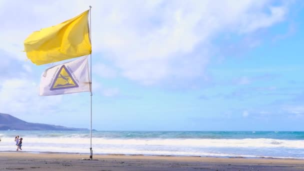 Muž surfař se surfařem se prochází po oceánu s velkými vlnami. Žlutá výstražná vlajka vlaje v silném větru. 22 nov 2019 Kanárský ostrov Španělsko — Stock video