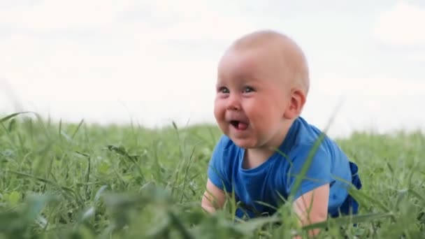 4k. bambino seduto strisciando su erba verde e sorridendo ampiamente. Emozionato carino bambino caucasico. Infanzia felice e assistenza sanitaria per bambini. — Video Stock