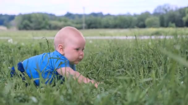 4k. pequeño bebé caucásico sentado arrastrándose sobre hierba verde y sonriendo ampliamente. Feliz infancia y cuidado del bebé . — Vídeo de stock