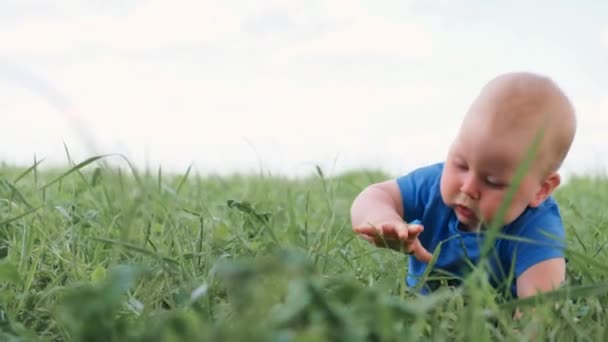 4kだ。赤ちゃんは緑の草の上を這うように座り。かわいい白人の子供を興奮させました。幸せな子供時代と赤ちゃんの医療. — ストック動画