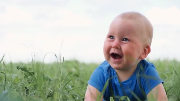 4kだ。赤ちゃんは緑の草の上を這うように座り。かわいい白人の子供を興奮させました。幸せな子供時代と赤ちゃんの医療. — ストック動画