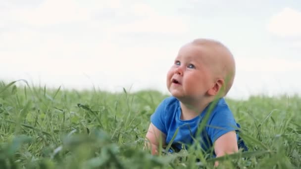 4k. baby sitter krypande på grönt gräs och ler brett. Spännande söt liten kaukasiska barn. Glad barn- och barnavård. — Stockvideo