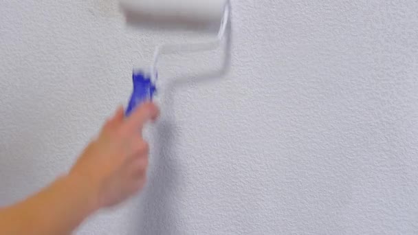 4k. Closeup of woman hands using paint roller while painting wallpaper white color, working indoors. Renovation home interior — Stock Footage 4k. Closeup of woman hands using paint roller while painting wallpaper white color, working indoors. Renovation home interior Stock Video