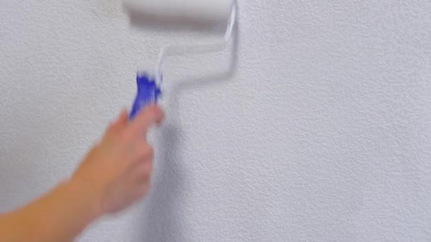 4k. Primer plano de las manos de la mujer usando rodillo de pintura mientras se pinta fondo de pantalla de color blanco, trabajando en interiores. Renovación interior de la casa — Vídeo de stock