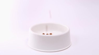 Yavrular için 4k kuru yiyecek beyaz arka plandaki büyük beyaz kaseye dökülür. Evcil hayvanlar besleniyor