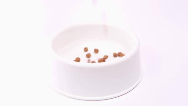 4k Dry food for kittens or puppies is poured into large white bowl on white background. Pets feed — Stock Video