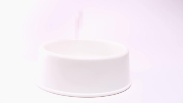 4k Suche jedzenie dla kociąt lub szczeniąt wlewa się do dużej białej miski na białym tle. Pasza dla zwierząt domowych — Wideo stockowe