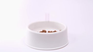 Yavrular için 4k kuru yiyecek beyaz arka plandaki büyük beyaz kaseye dökülür. Evcil hayvanlar besleniyor