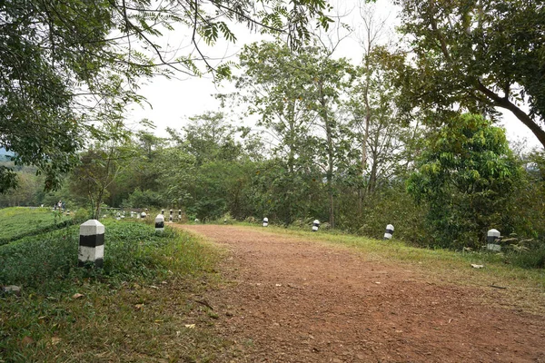 walk way in thailand national park jed kod pong gon sao saraburi province thailand