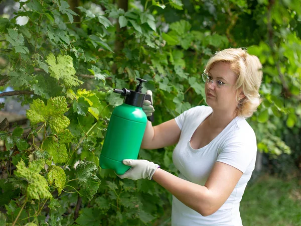 Blonde Vrouw Spuiten Wijngaard Buitenshuis Plantbescherming — Stockfoto