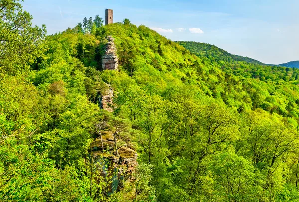 Scharfenberg Castle in the Palatinate Forest. Rhineland-Palatinate, Germany — Stock Photo, Image