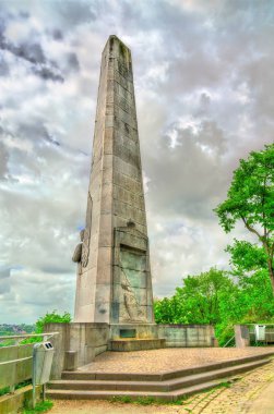 14 alayı piyade Liege, Belçika için anıt