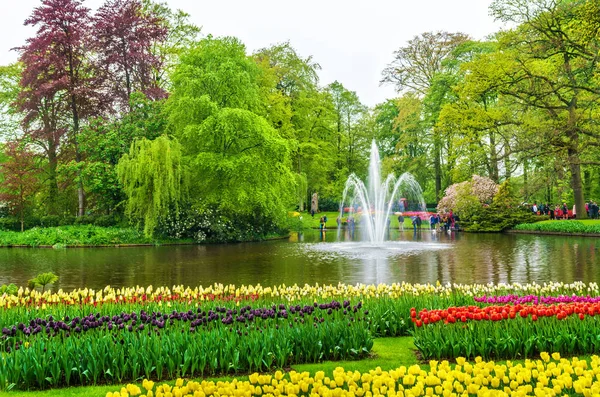 Keukenhof Bahçe, olarak da bilinen Bahçe Avrupa, Hollanda'da görünümünü. — Stok fotoğraf
