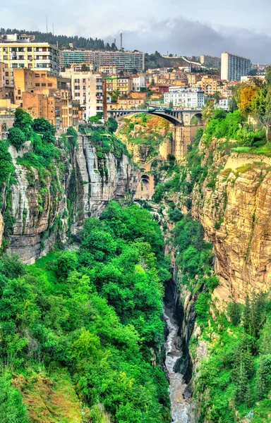 The Rhummel River Canyon in Constantine. Argelia —  Fotos de Stock