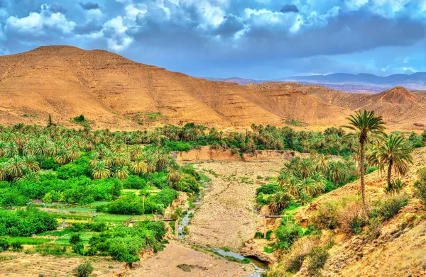 阿尔及利亚 Batna 省的景观 — 图库照片