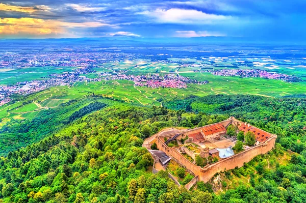 El Chateau du Hohlandsbourg, un castillo cerca de Colmar en Francia —  Fotos de Stock