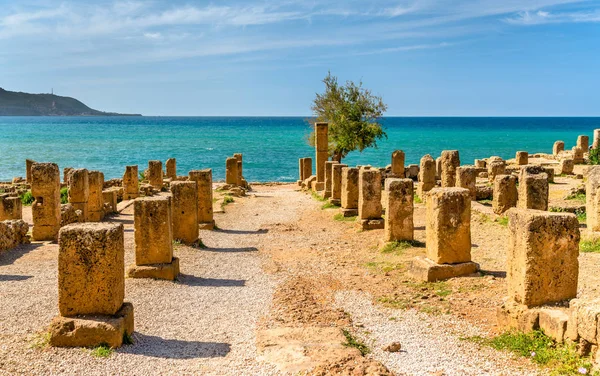 Ruinas de Tipasa, una colonia romana en Argelia, norte de África —  Fotos de Stock