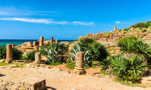 Ruines de Tipasa, une colonie romaine en Algérie, Afrique du Nord — Photo