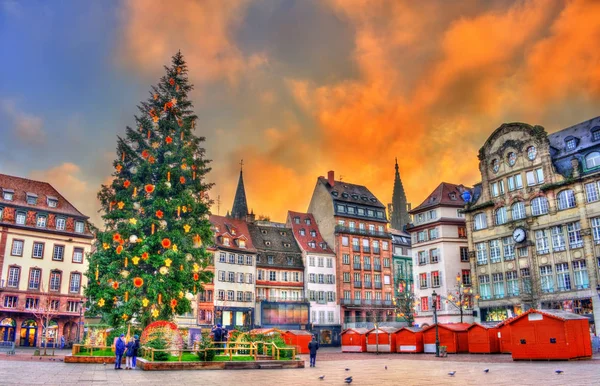 Weihnachtsbaum auf dem Weihnachtsmarkt in Strasbourg, Frankreich — Stockfoto