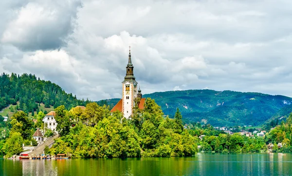 Iglesia de la Asunción de María en la Isla de Bled en Eslovenia —  Fotos de Stock