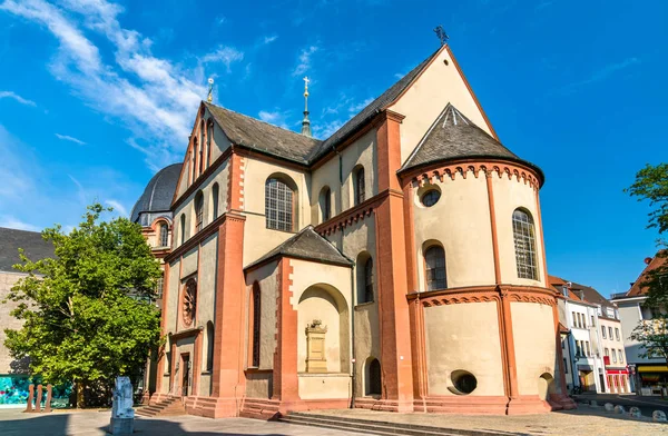 The Neumunster collegiate church in Wurzburg, Germany — Stock Photo, Image