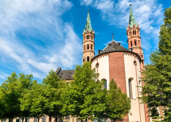 De kathedraal van Sint Kilian van Wurzburg in Duitsland — Stockfoto
