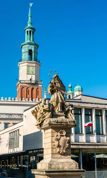 Socha svatého Jana Nepomuckého a Town Hall Poznaň, Polsko — Stock fotografie