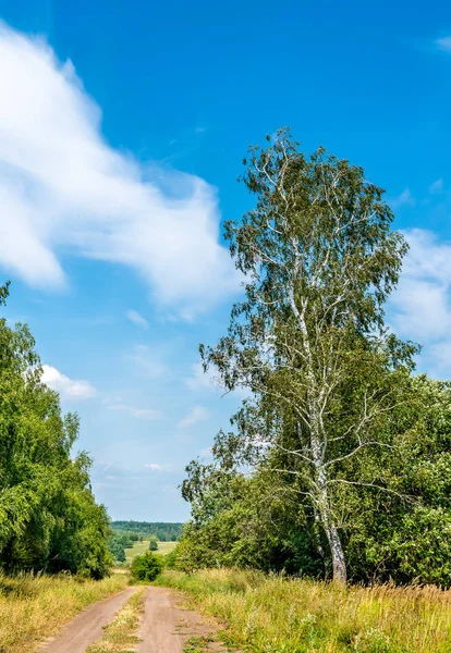 俄罗斯库尔斯克地区典型的农村景观 — 图库照片