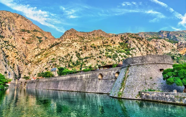 Fortificaciones de Kotor en Montenegro — Foto de Stock