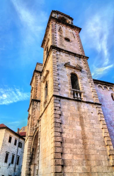 La Catedral de San Trifón en Kotor, Montenegro — Foto de Stock