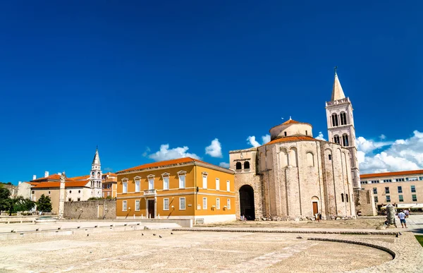 Iglesia de San Donato y el campanario de la Catedral de Zadar. Croacia —  Fotos de Stock