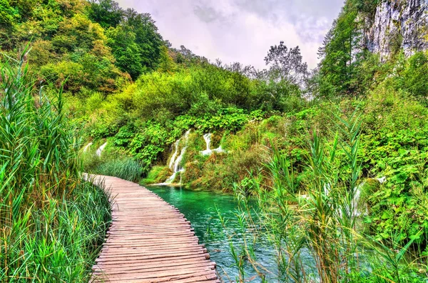 Fából készült út fölött a víz a Plitvicei Nemzeti Park Horvátországban — Stock Fotó
