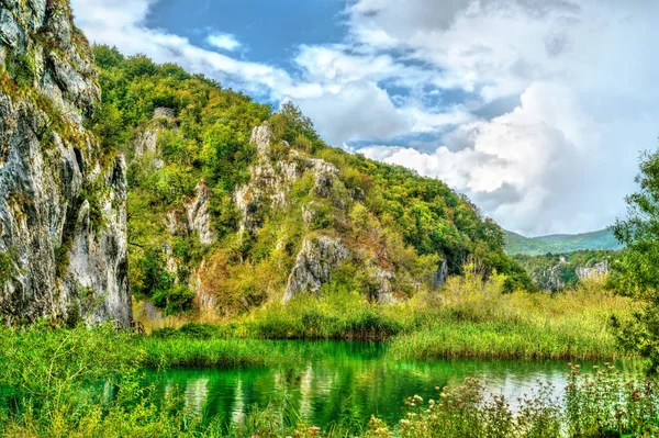 Nézd a Plitvicei-tavak Nemzeti Park Horvátországban — Stock Fotó