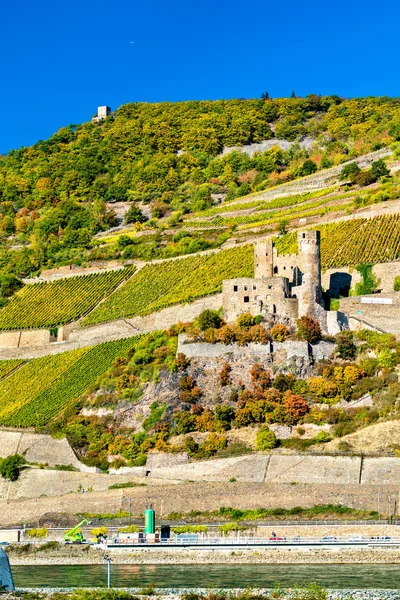 Château d'Ehrenfels avec vignobles en automne. Gorge du Rhin, Allemagne — Photo