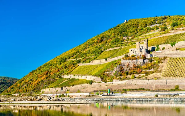 Château d'Ehrenfels avec vignobles en automne. Gorge du Rhin, Allemagne — Photo