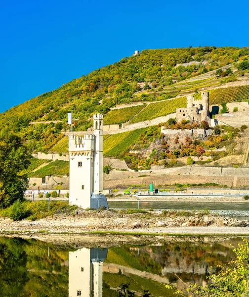 La torre del ratón con el castillo de Ehrenfels en el fondo. Valle del Rin, Alemania — Foto de Stock