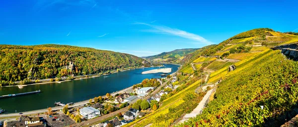 Vue sur les gorges du Rhin avec les châteaux de Rheinstein et Reichenstein en Allemagne — Photo